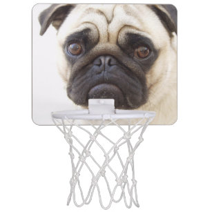 犬ミニバスケットボールゴール Zazzle Co Jp 犬ミニバスケットボールゴール Zazzle Co Jp