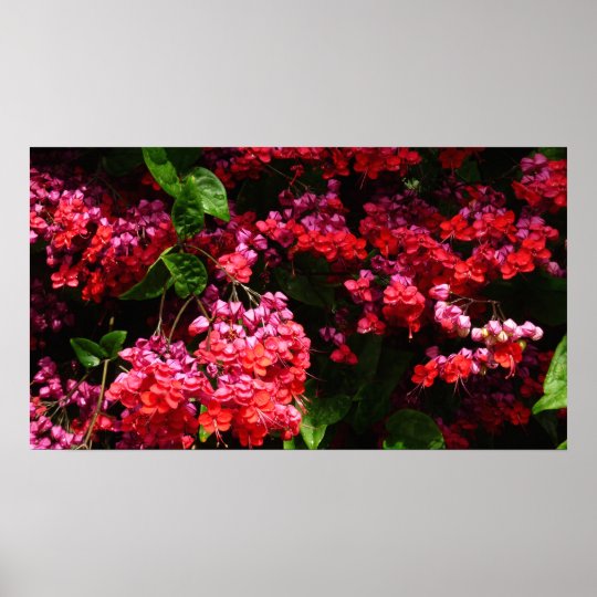 パゴダの花カラフル 赤とピンク ポスター Zazzle Co Jp