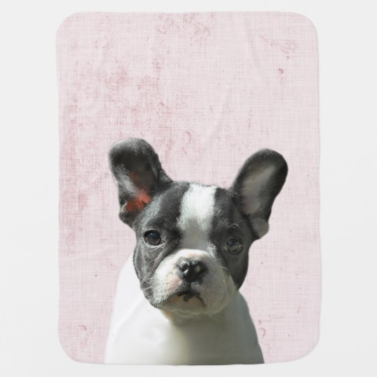 パステル調ピンクのピーカブーのボストンテリアの子犬の子供部屋 ベビー ブランケット Zazzle Co Jp パステル調ピンクのピーカブーのボストンテリアの子犬の子供部屋 ベビー ブランケット Zazzle Co Jp