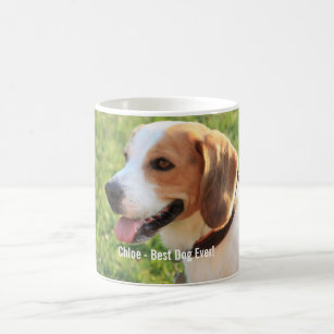 動物 動物 ビーグル 犬 ビーグル 犬 子犬 犬 かわいい 子犬 子犬マグカップ Zazzle Co Jp 動物 動物 ビーグル 犬 ビーグル 犬 子犬 犬 かわいい 子犬 子犬マグカップ Zazzle Co Jp