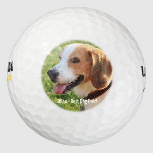 猟犬ゴルフ用品 Zazzle Co Jp 猟犬ゴルフ用品 Zazzle Co Jp