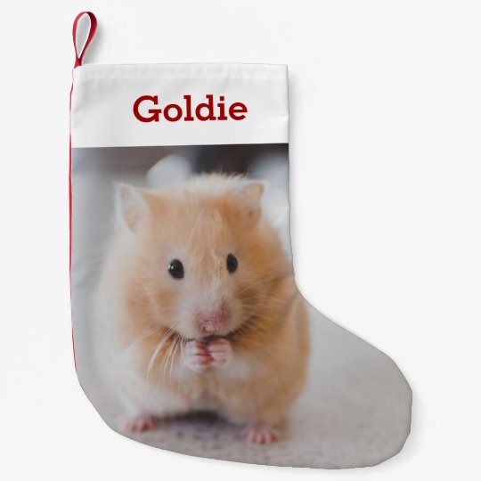 パーソナライズなペットハムスターの恋人の写真及び名前 スモールクリスマスストッキング Zazzle Co Jp パーソナライズなペットハムスターの恋人の写真及び名前 スモールクリスマスストッキング Zazzle Co Jp