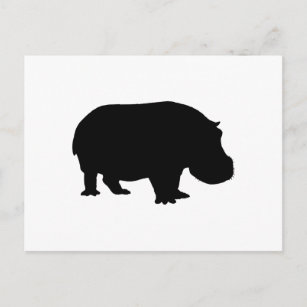 動物 カバポストカード Zazzle Co Jp 動物 カバポストカード Zazzle Co Jp