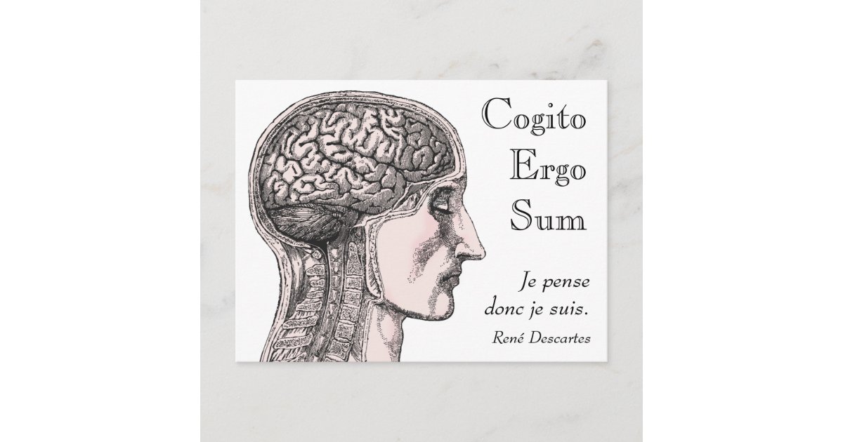 ヒト脳イラストレーションコギトエルゴスム ポストカード Zazzle Co Jp