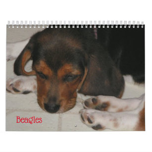 動物 動物 ビーグル 犬 ビーグル 犬 子犬 犬 かわいい 子犬 子犬オフィス スクール Zazzle Co Jp 動物 動物 ビーグル 犬 ビーグル 犬 子犬 犬 かわいい 子犬 子犬オフィス スクール Zazzle Co Jp
