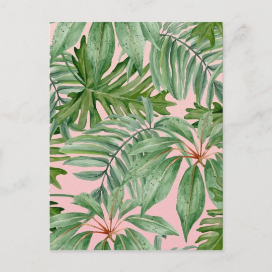 ピンクおよびシュロの葉の熱帯花パターン ポストカード Zazzle Co Jp