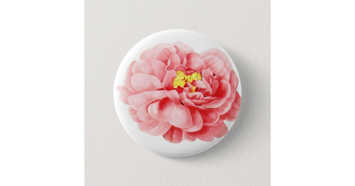 ピンクのキャベツばら色の花のぼろぼろのコテージ 缶バッジ Zazzle Co Jp