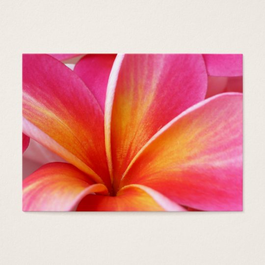 ピンクのプルメリアのfrangipaniのハワイの花のハワイアン Zazzle Co Jp