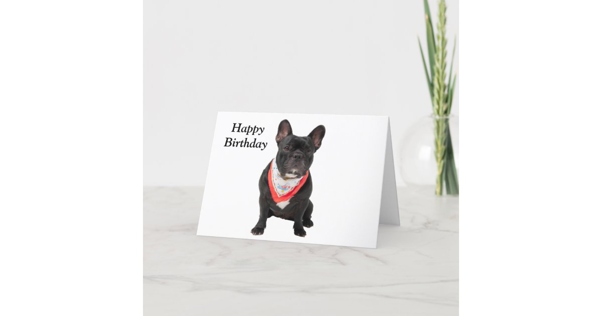 フレンチ ブルドッグは かわいい写真のハッピーバースデーカードの後をつけます カード Zazzle Co Jp フレンチ ブルドッグは かわいい写真のハッピーバースデーカードの後をつけます カード Zazzle Co Jp