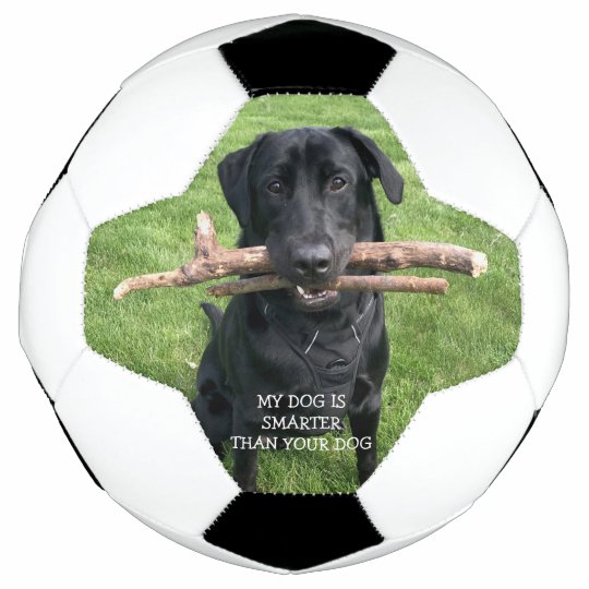 ブラおもしろいックラボと2本のスティッカスタムク サッカーボール Zazzle Co Jp ブラおもしろいックラボと2本のスティッカスタムク サッカーボール Zazzle Co Jp