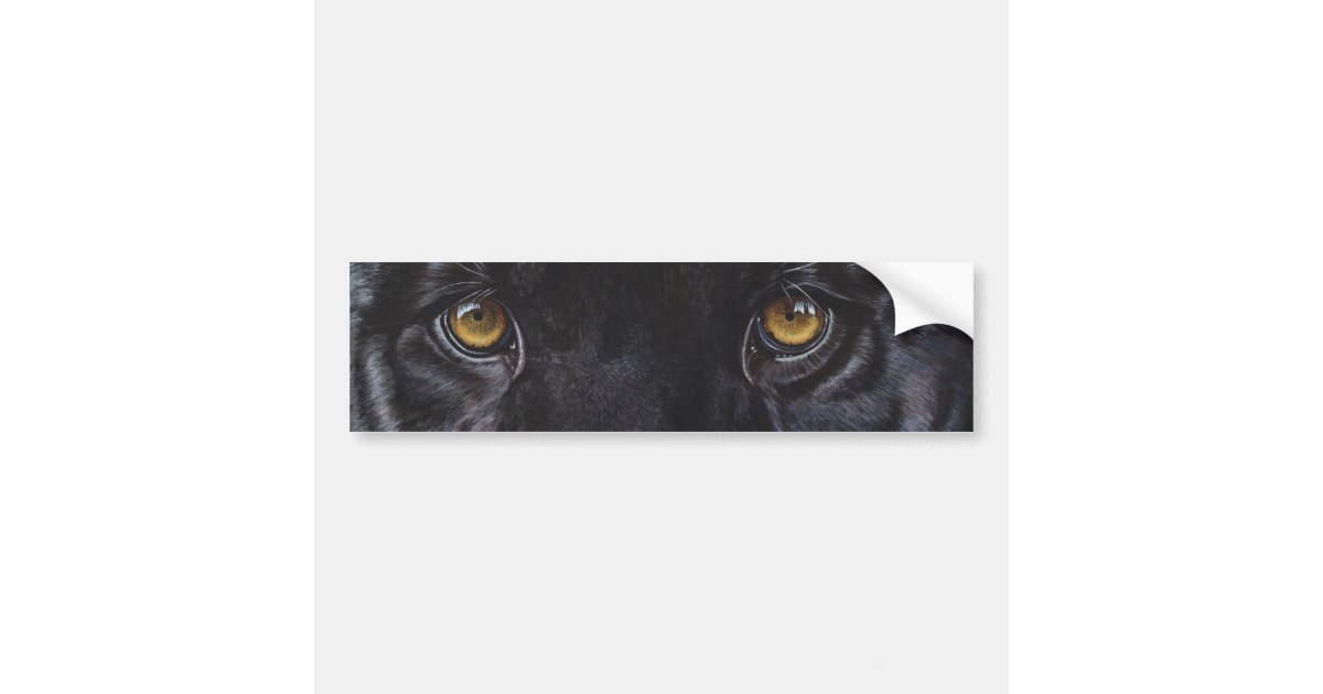 ブラックパンサーのヒョウの目 バンパーステッカー Zazzle Co Jp