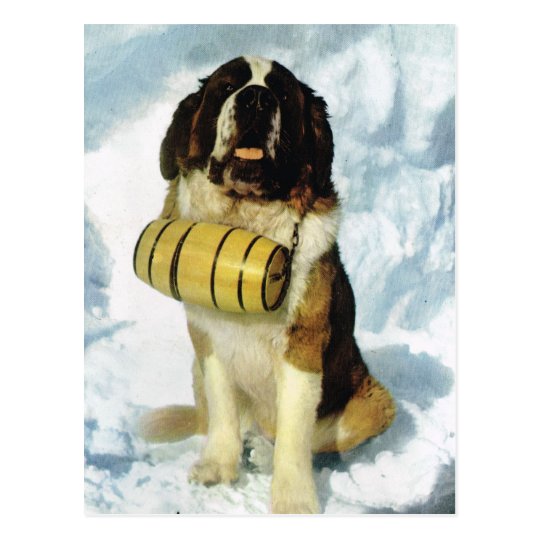 ブランデーを持つヴィンテージのスイス連邦共和国サンベルナール峠犬 ポストカード Zazzle Co Jp