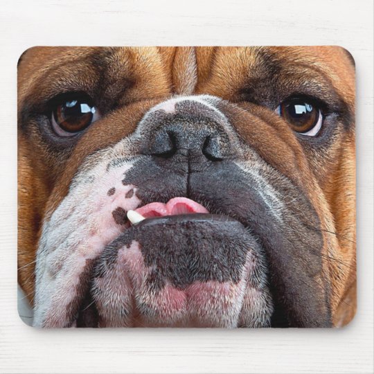 ブルドッグの英国の悪い顔 マウスパッド Zazzle Co Jp