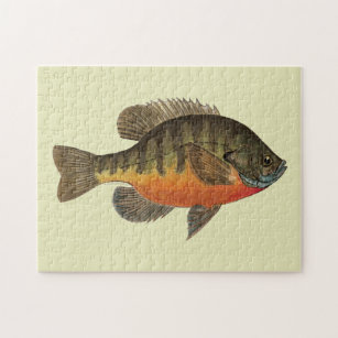 魚パズル  Zazzle.co.jp
