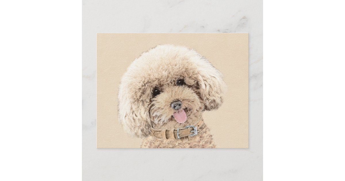 プードル おもちゃ ミニチュア 絵画のオリジナルドッグアート ポストカード Zazzle Co Jp