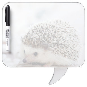 かわいい ハリネズミオフィス スクール Zazzle Co Jp かわいい ハリネズミオフィス スクール Zazzle Co Jp