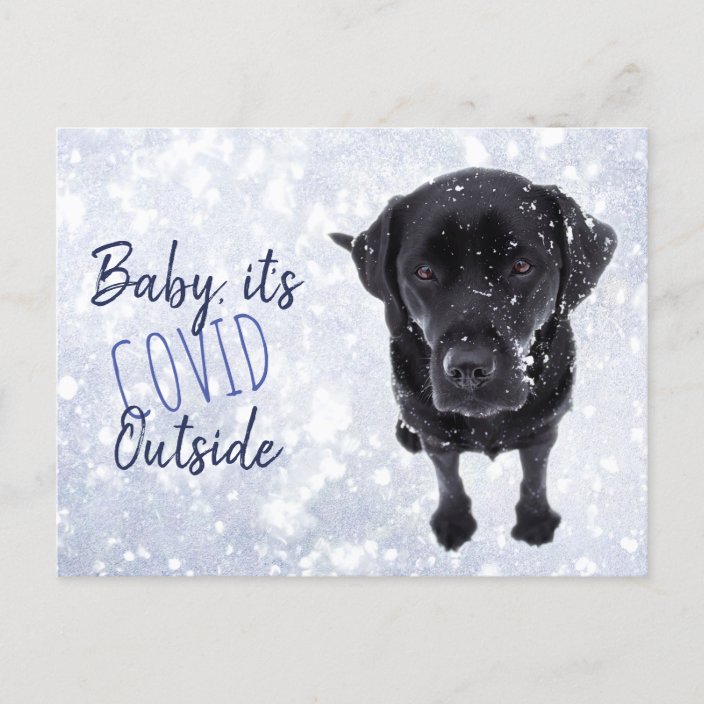 ベビー イット アズ コヴィド アウスおもしろいト検疫雪犬 ポストカード Zazzle Co Jp