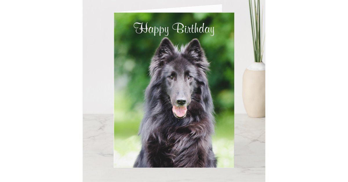 ベルギー人のgroenendael犬のカスタムなバースデー カード カード Zazzle Co Jp ベルギー人のgroenendael犬のカスタムなバースデー カード カード Zazzle Co Jp
