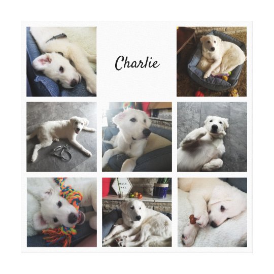 ペット写真のコラージュでかわいい犬や猫 キャンバスプリント Zazzle Co Jp