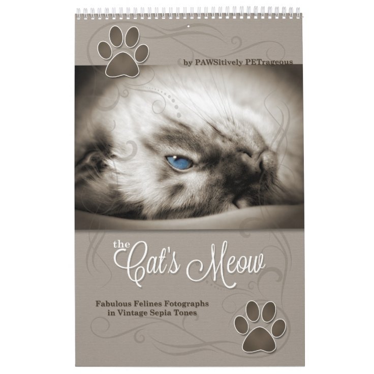 ペット恋人のためのセピア色の子猫猫12か月 カレンダー Zazzle Co Jp
