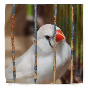 かわいい 鳥ペットバンダナ Zazzle Co Jp