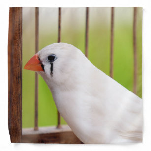 かわいい 鳥ペットバンダナ Zazzle Co Jp