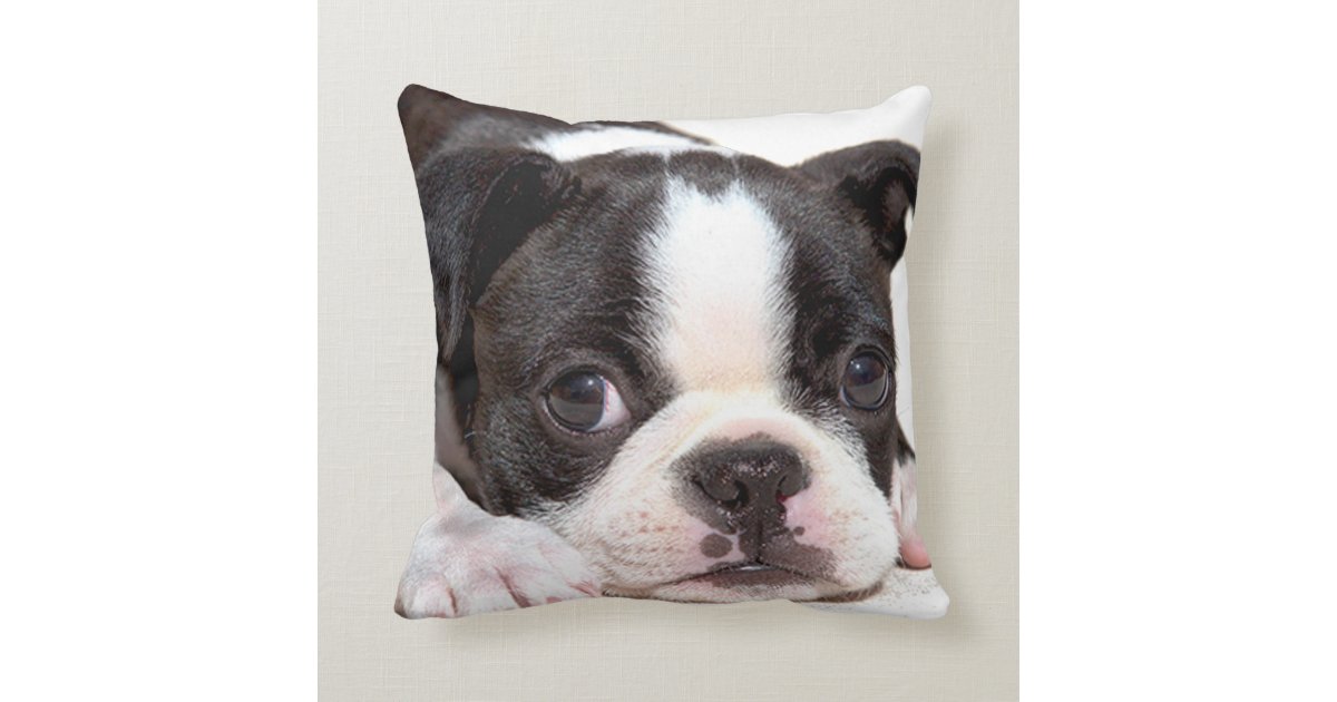 ボストンテリアの白黒子犬のクッション クッション Zazzle Co Jp ボストンテリアの白黒子犬のクッション クッション Zazzle Co Jp