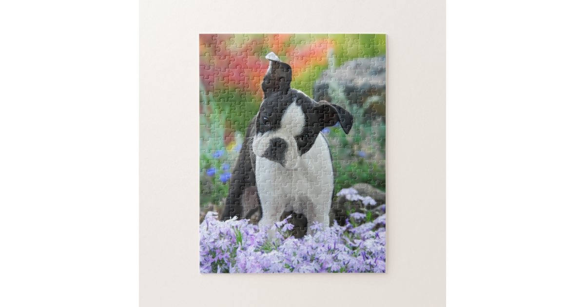 ボストンテリア犬のかわいい子犬のゲーム11x14 ジグソーパズル Zazzle Co Jp