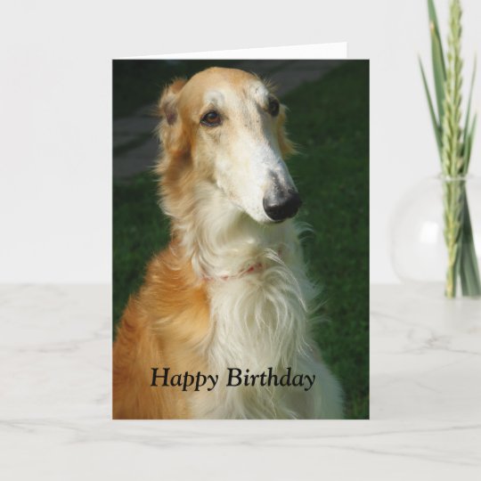 ボルゾイ犬の美しい写真のハッピーバースデーカード カード Zazzle Co Jp
