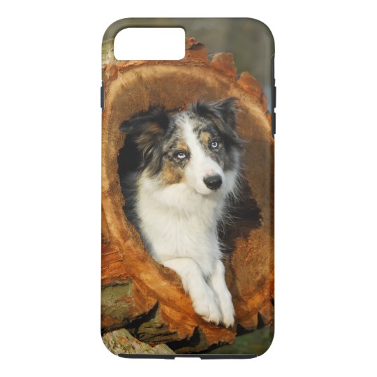 ボーダーコリーの青いmerle犬 細胞phonecase Case Mate Iphoneケース Zazzle Co Jp