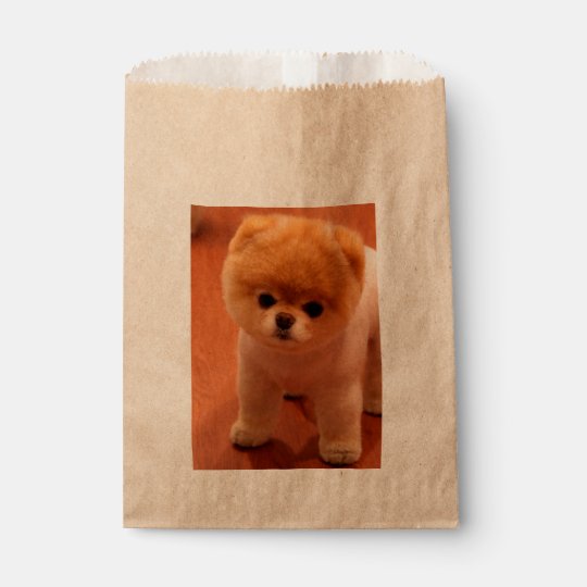 ポメラニア犬かわいい子犬スピッツpom犬pomの子犬 フェイバーバッグ Zazzle Co Jp