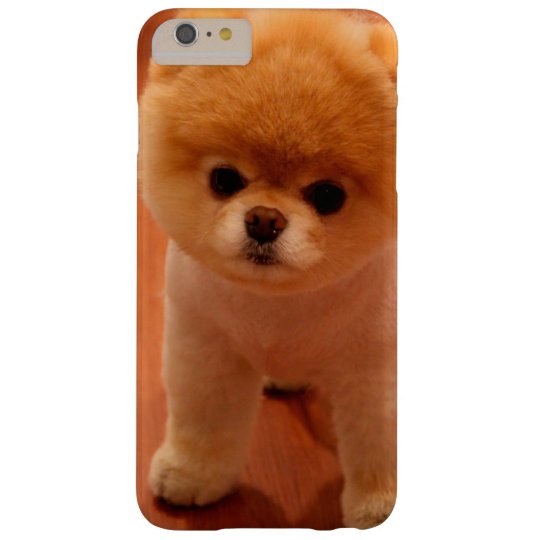 ポメラニア犬かわいい子犬スピッツpom犬pomの子犬 Case Mate Iphoneケース Zazzle Co Jp