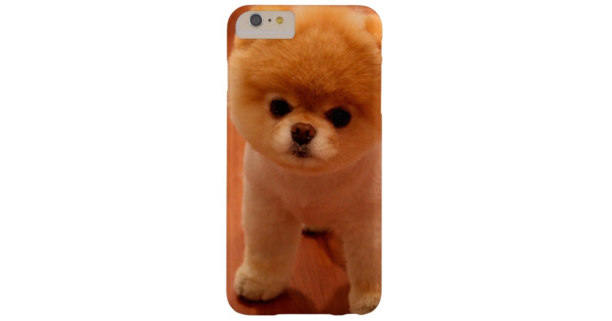 ポメラニア犬かわいい子犬スピッツpom犬pomの子犬 Case Mate Iphoneケース Zazzle Co Jp