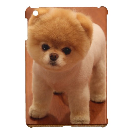 ポメラニア犬犬ペット子犬の小さく愛らしいベビー Ipad Miniケース Zazzle Co Jp
