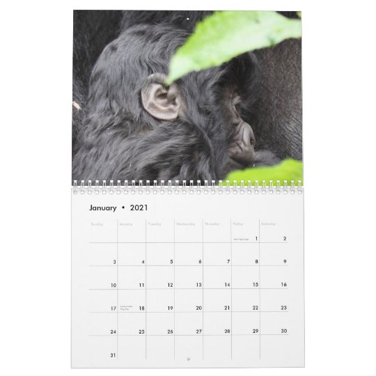 マウンテン ゴリラの顔米国の休日無し カレンダー Zazzle Co Jp
