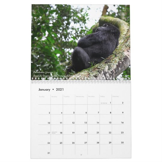 マウンテン ゴリラ カレンダー Zazzle Co Jp マウンテン ゴリラ カレンダー Zazzle Co Jp