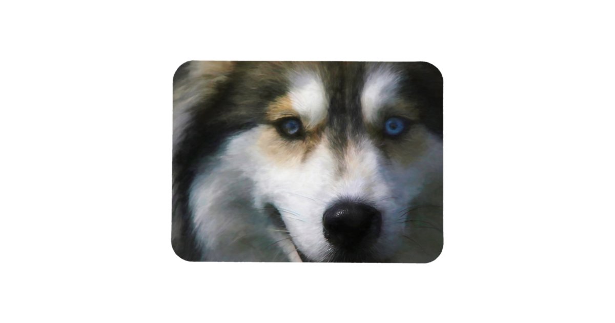 マラミュート犬 遠い目 マグネット Zazzle Co Jp