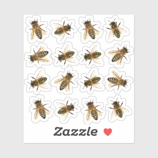 ミツバチの養蜂家のステッカーがリアル シール Zazzle Co Jp