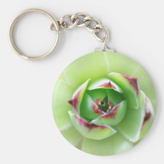 メンドリとヒナ 多肉花の美しい植物 キーホルダー Zazzle Co Jp