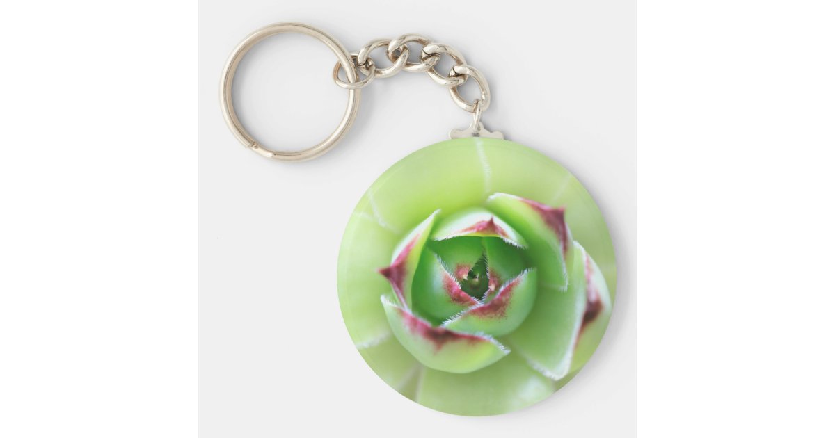 メンドリとヒナ 多肉花の美しい植物 キーホルダー Zazzle Co Jp