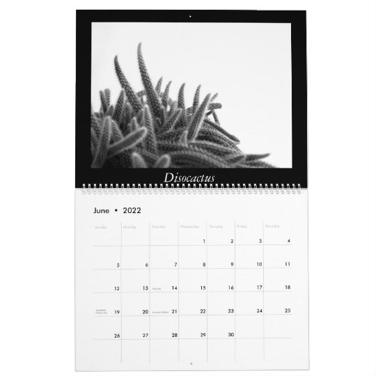 モノクロサボテン16年 カレンダー Zazzle Co Jp