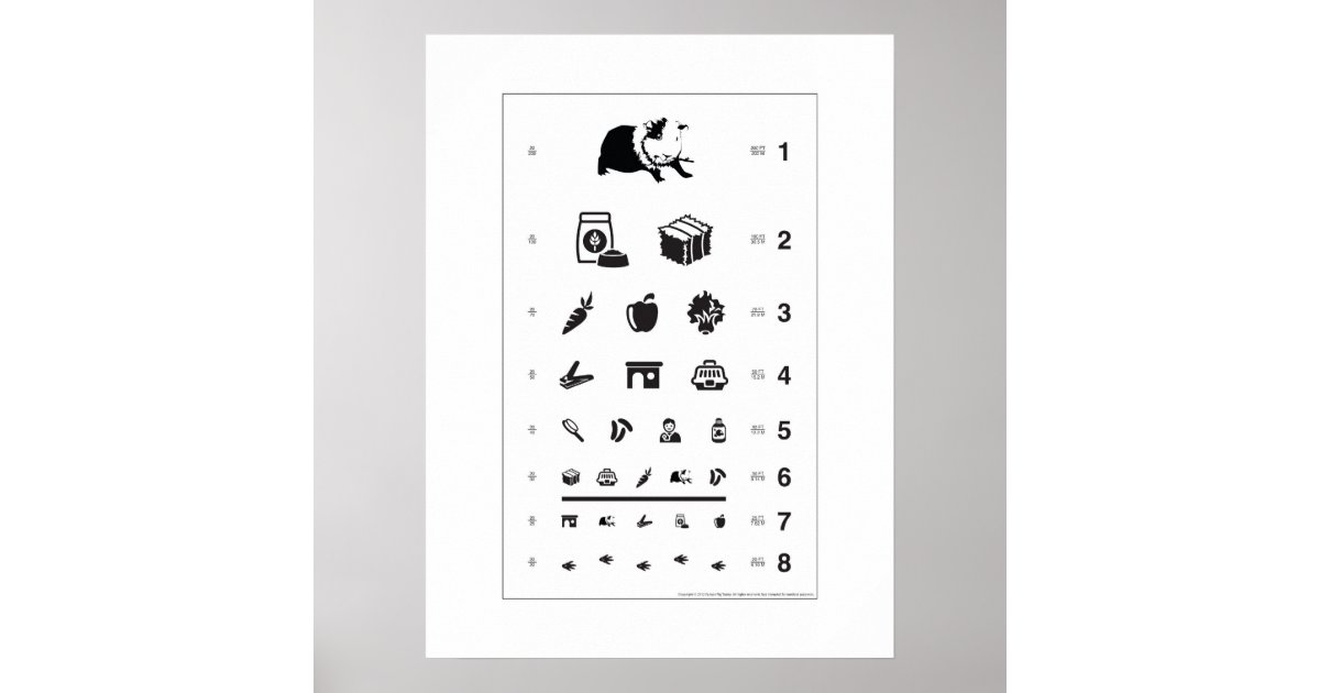 モルモットの視力検査表 ポスター Zazzle Co Jp モルモットの視力検査表 ポスター Zazzle Co Jp