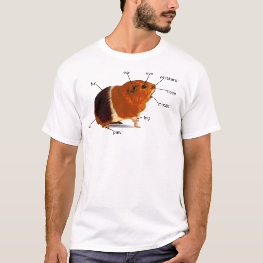 モルモット Tシャツ Zazzle Co Jp