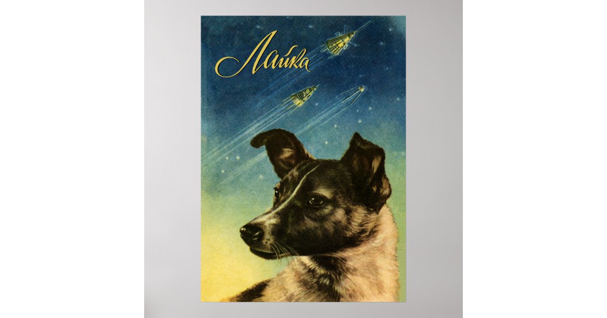 ライカ 初の宇宙犬 ソ連の宇宙ポスター ポスター Zazzle Co Jp