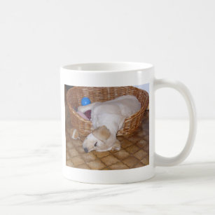 犬 犬 犬 黄色い 子犬マグカップ Zazzle Co Jp