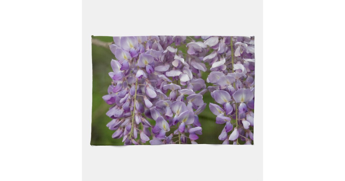 ラベンダーの紫色の藤の野生の花のつる植物 キッチンタオル Zazzle Co Jp