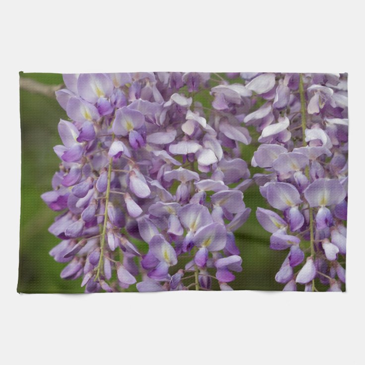 ラベンダーの紫色の藤の野生の花のつる植物 キッチンタオル Zazzle Co Jp