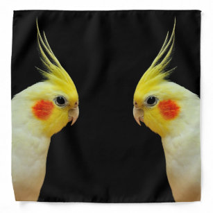 かわいい 鳥ペットバンダナ Zazzle Co Jp かわいい 鳥ペットバンダナ Zazzle Co Jp