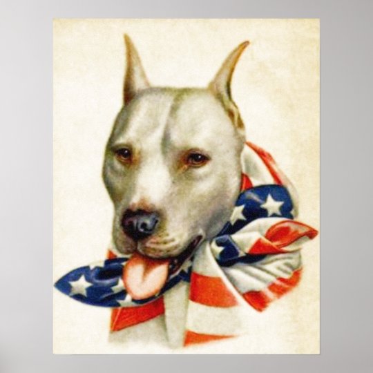 ヴィンテージのアメリカの愛国心が強いピット ブル犬戦争ポスター ポスター Zazzle Co Jp