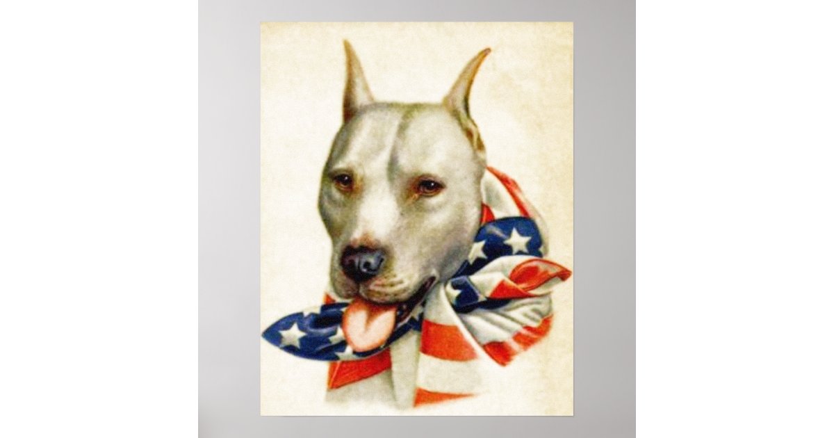 ヴィンテージのアメリカの愛国心が強いピット ブル犬戦争ポスター ポスター Zazzle Co Jp